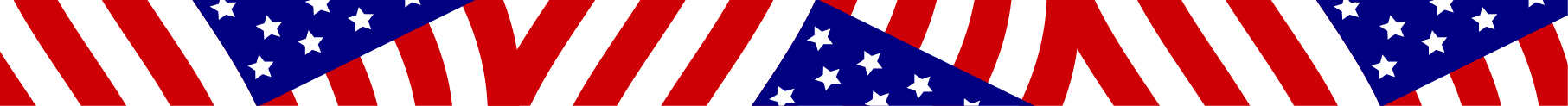 BARD Engine One american flag pattern